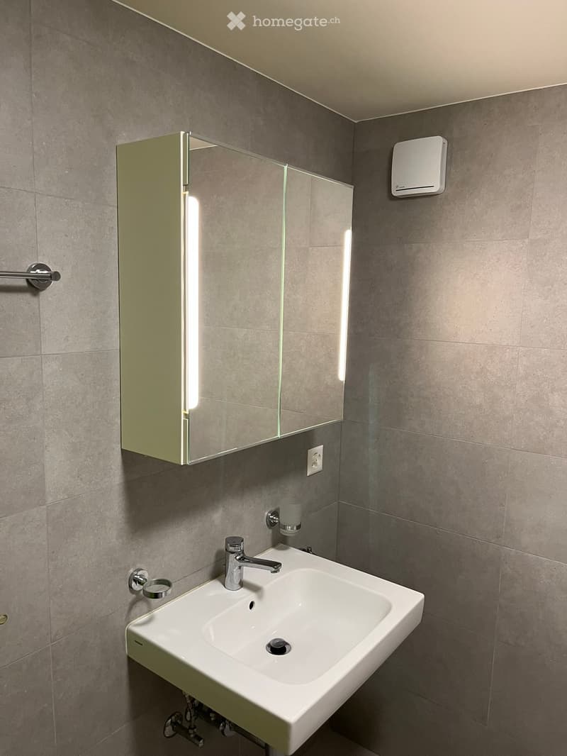 Modern bathroom with a white sink, chrome faucet, built-in mirrored cabinet, and towel rack.