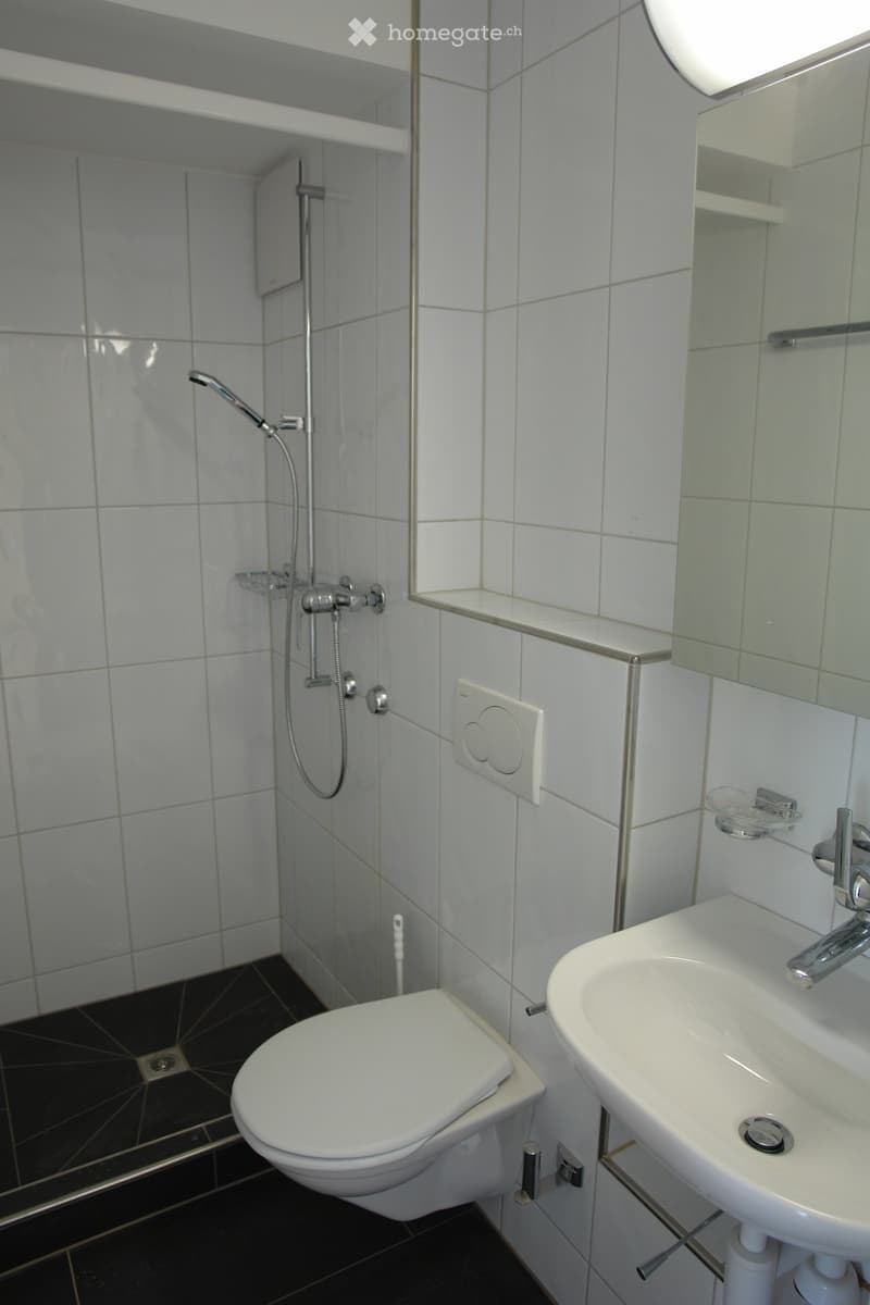 Modern bathroom with white tiled walls, black tiled floor, toilet, sink with chrome faucet, mirror, and shower with handheld showerhead.