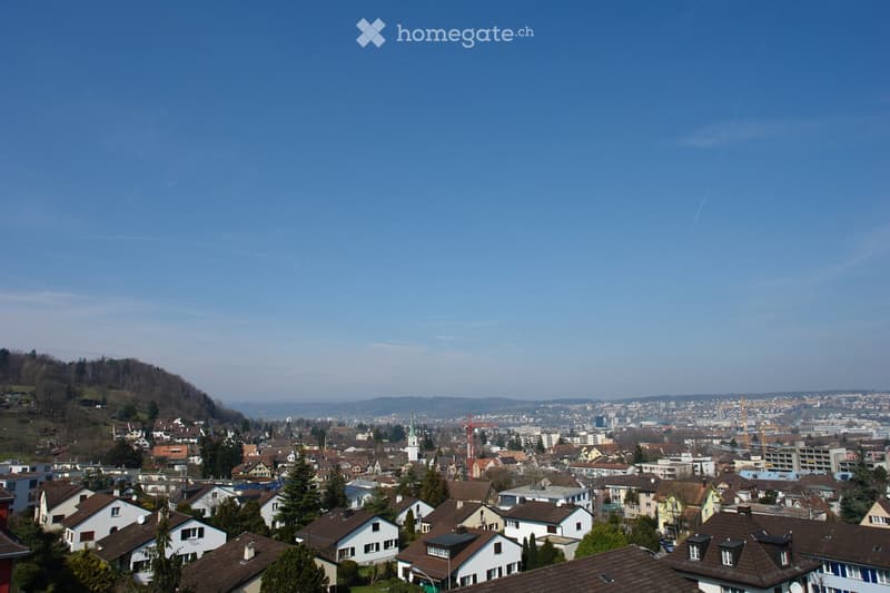 A panoramic view of a suburban neighborhood with numerous houses, trees, and distant cityscape under a clear blue sky.