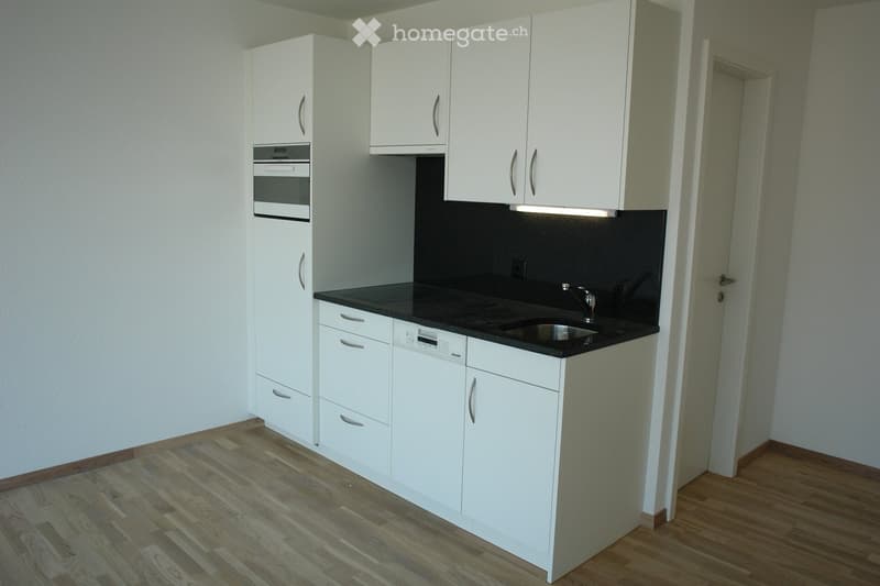 Modern kitchen with white cabinets, black countertop, stainless steel sink, and built-in oven and dishwasher.