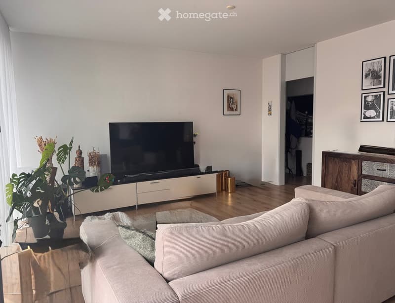 Modern living room with a grey sofa, coffee table, large flat-screen TV, and decorative plants. The room features light-colored walls, wooden flooring, and a cabinet with drawers.