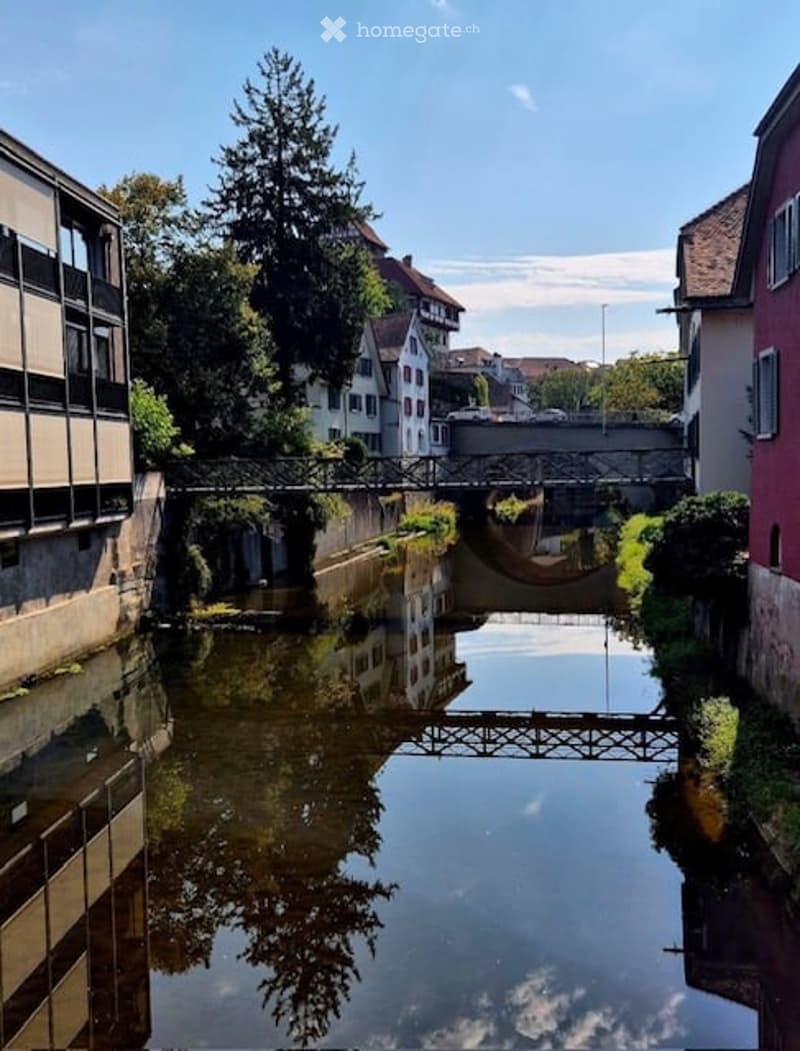 A serene canal scene with a metal bridge crossing over calm water, surrounded by lush greenery and residential buildings.