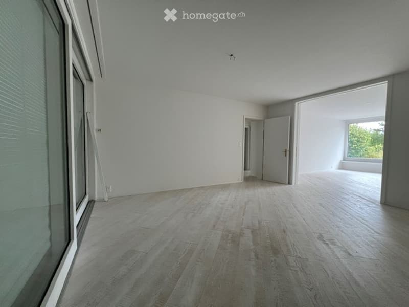Completely empty room with light grey wooden flooring and white walls. Large windows and an open doorway lead to another space.