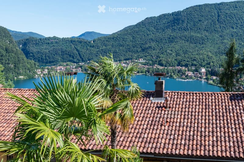 A scenic view from a rooftop terrace overlooking a lake surrounded by lush green hills and a small town. The foreground shows a tiled roof with palm plants, and the background features a calm lake with distant mountains.