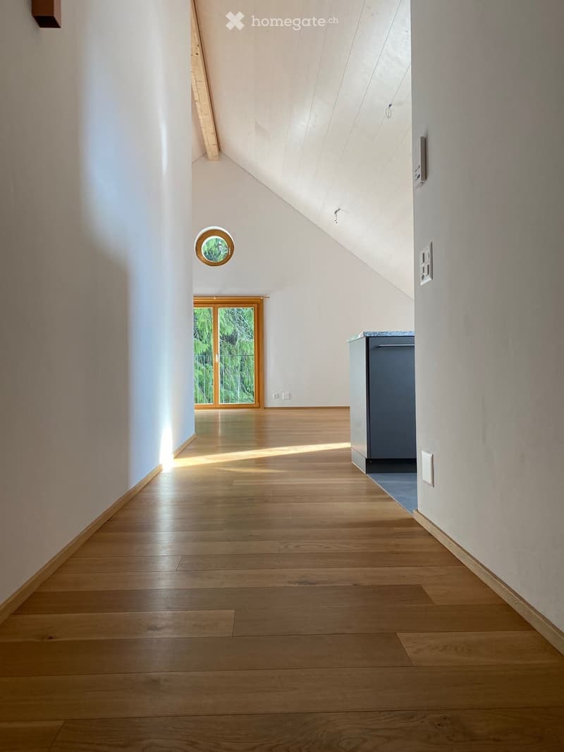 Einzigartige 3½ Zimmer-Dachwohnung an zentraler Lage (2)