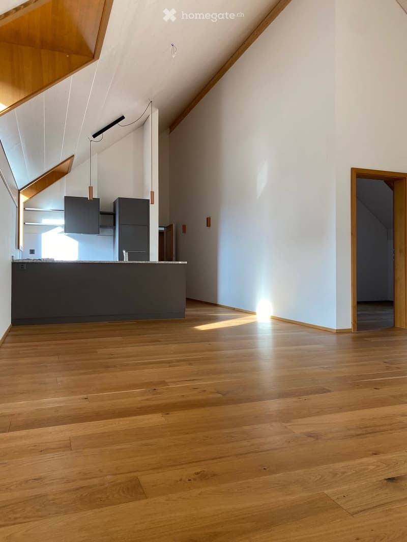 Einzigartige 3½ Zimmer-Dachwohnung an zentraler Lage (10)