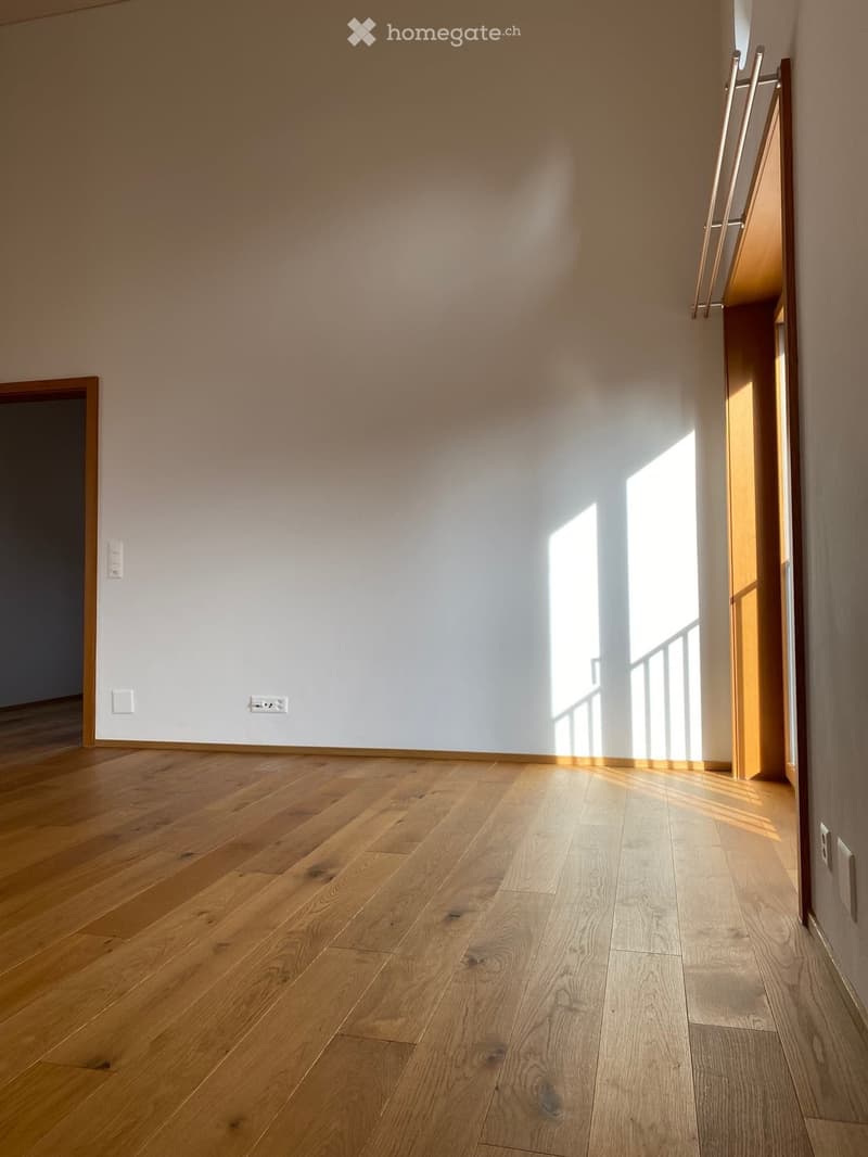 Einzigartige 3½ Zimmer-Dachwohnung an zentraler Lage (11)