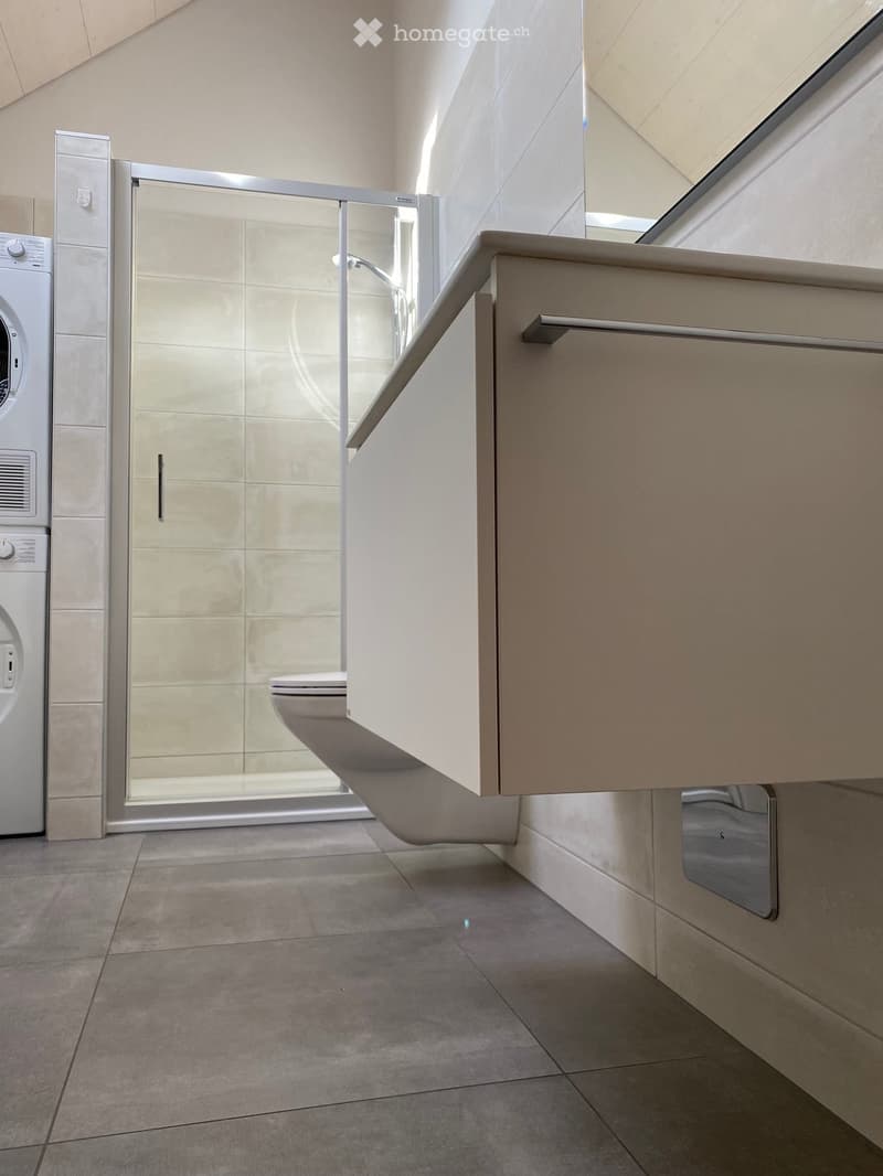 Einzigartige 3½ Zimmer-Dachwohnung an zentraler Lage (5)