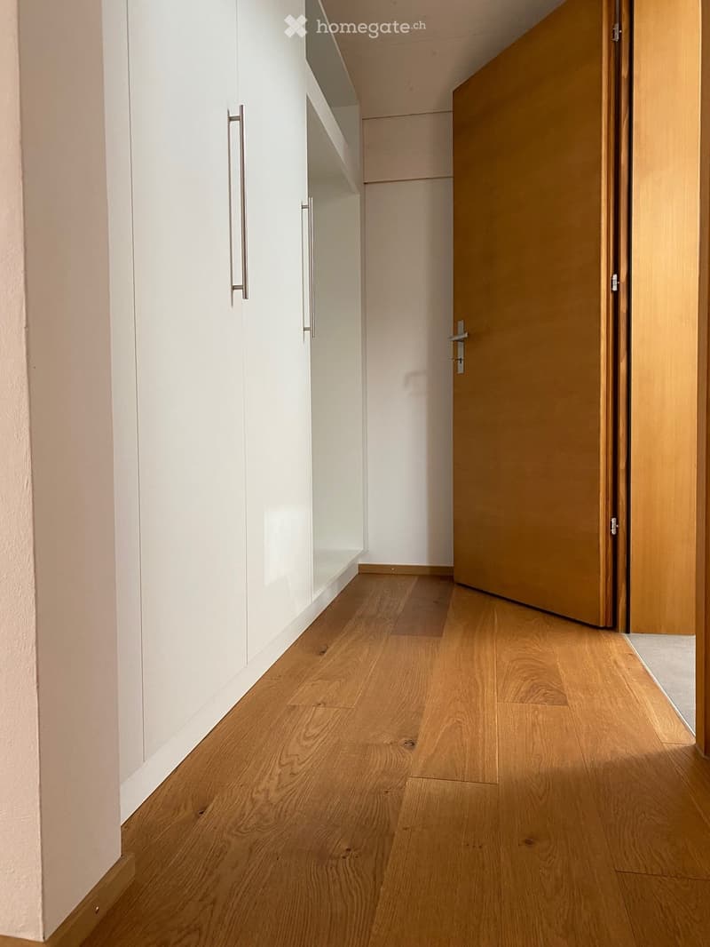 Einzigartige 3½ Zimmer-Dachwohnung an zentraler Lage (3)