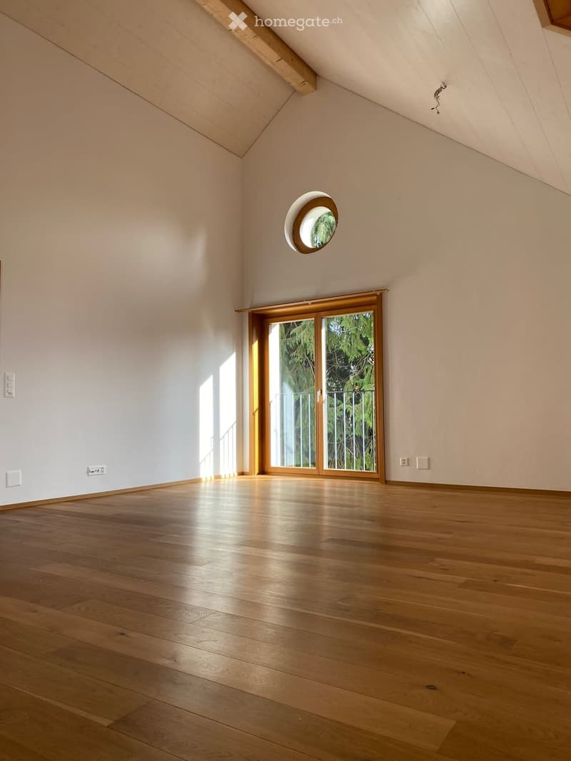 Einzigartige 3½ Zimmer-Dachwohnung an zentraler Lage (9)