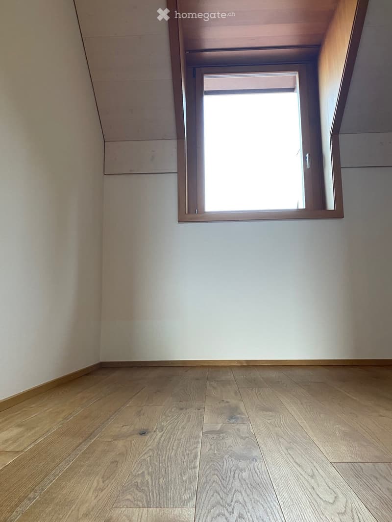 Einzigartige 3½ Zimmer-Dachwohnung an zentraler Lage (12)