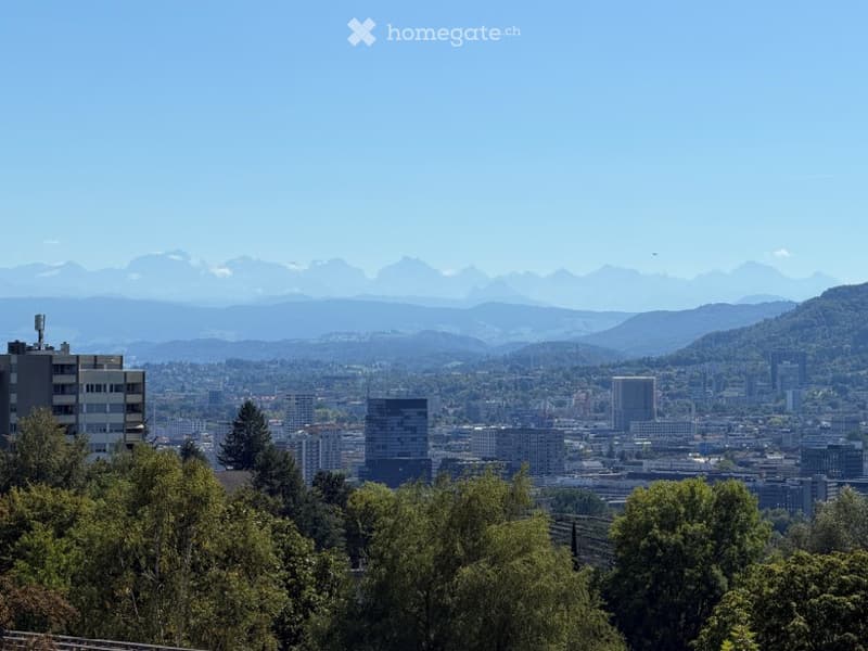 Panoramic cityscape view with distant mountains, modern buildings, and lush green trees in the foreground.