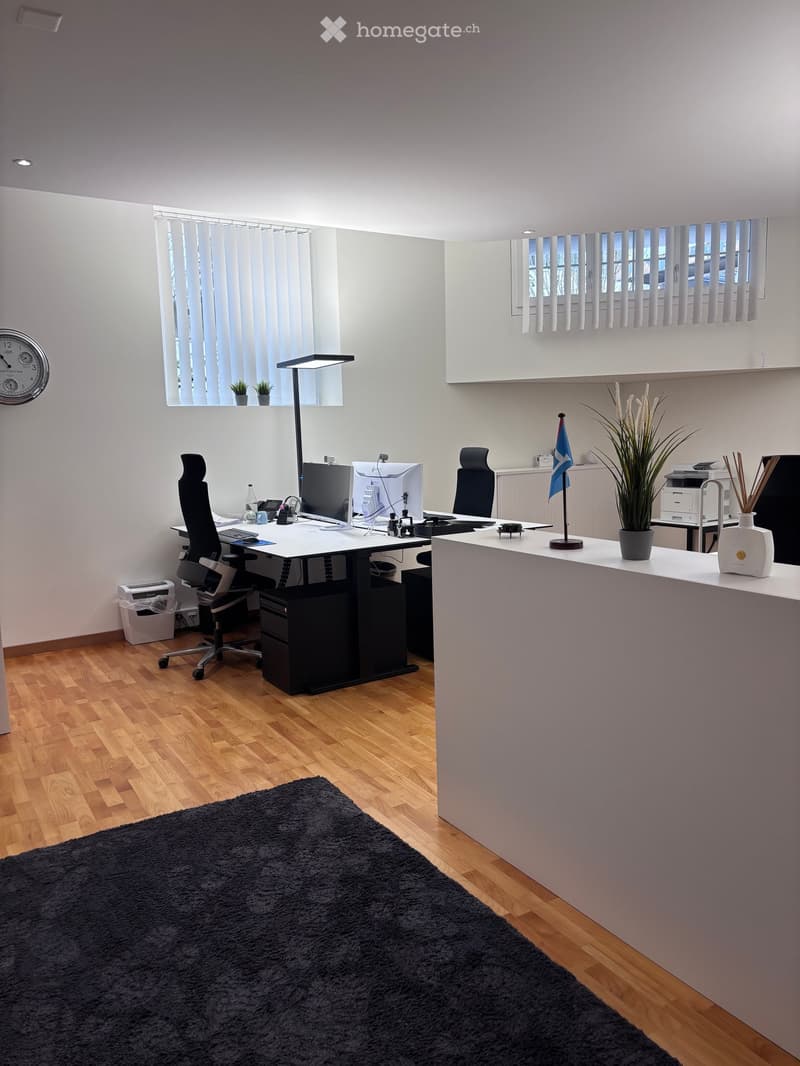 Modern office with desks, chairs, computer monitors, and a flag. A clock, plants, and a printer are also visible.