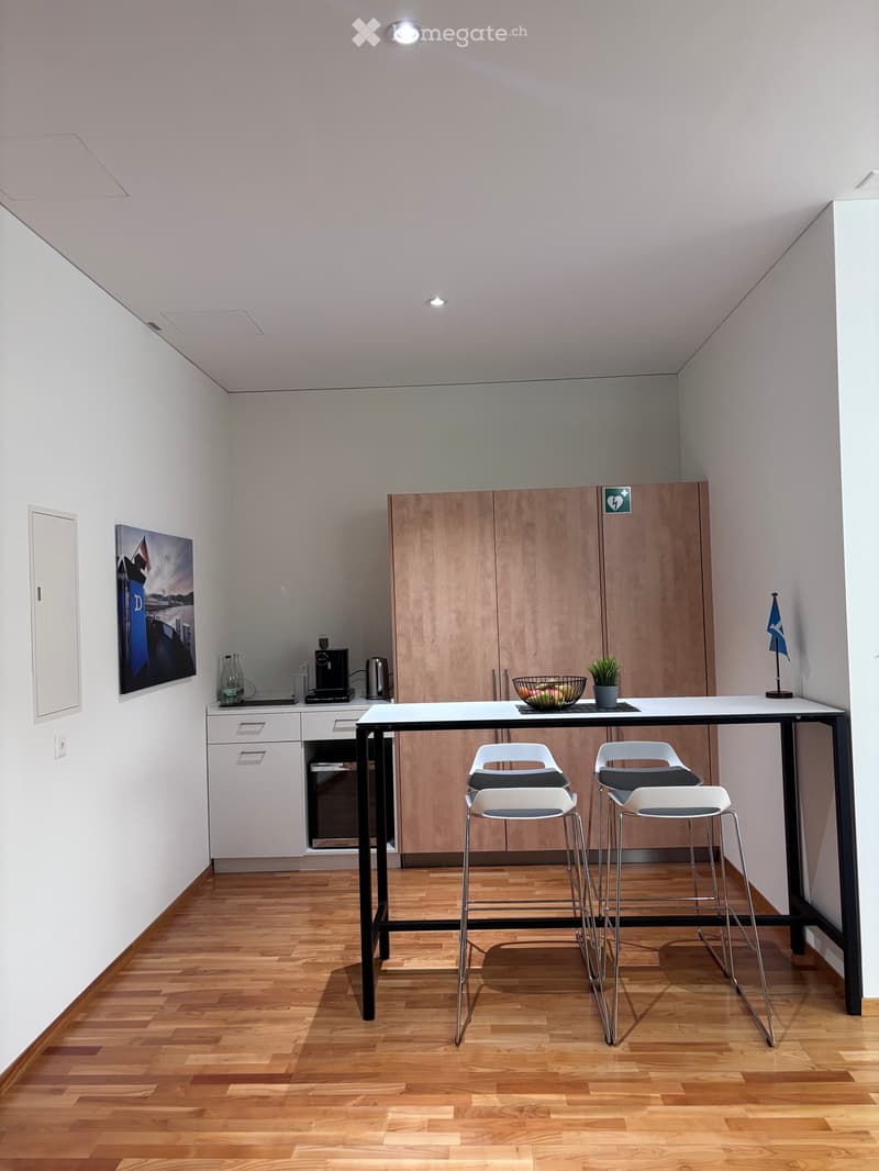 Modern furnished room with a table, chairs, and a plant. The room has wooden floors and white walls. There is a cabinet with drawers and a power outlet on the wall. A flag is placed on the right side of the room.