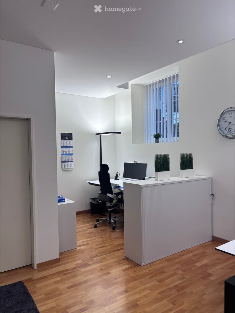 Modern office with white walls, wooden floor, desk, chair, monitor, keyboard, mouse, calendar, plants, clock, trash bin, and book.