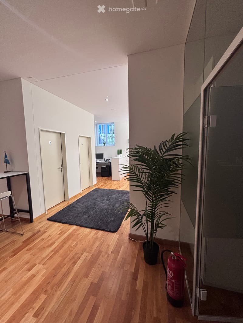 A corridor with wooden floors, a rug, a potted plant, and a fire extinguisher. There is a desk with a flag, a computer monitor, and a telephone. There are two doors, one of which is open, leading to an office with a cabinet and a window.