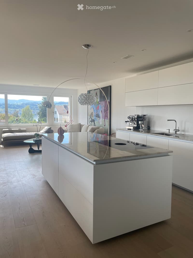 Stunning Lakeview Apartment – 3.5 Rooms (3)