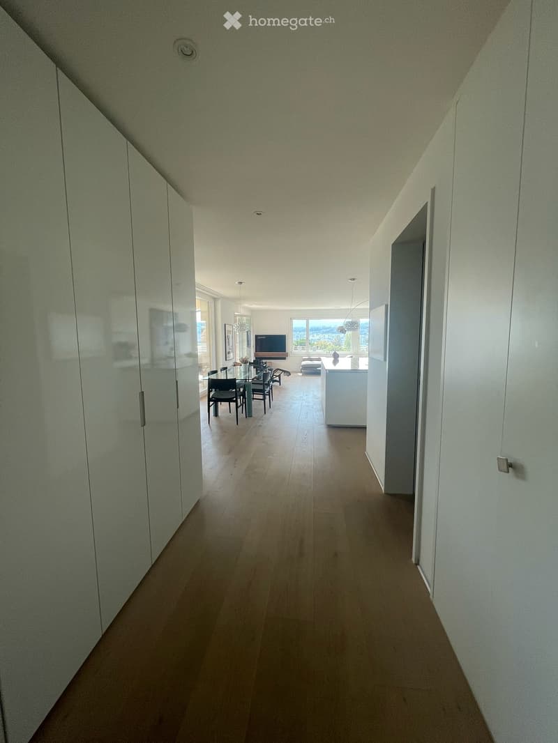 Stunning Lakeview Apartment – 3.5 Rooms (4)