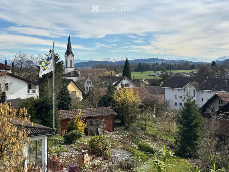 Houses in a village with a church, flag, and mountains in the background