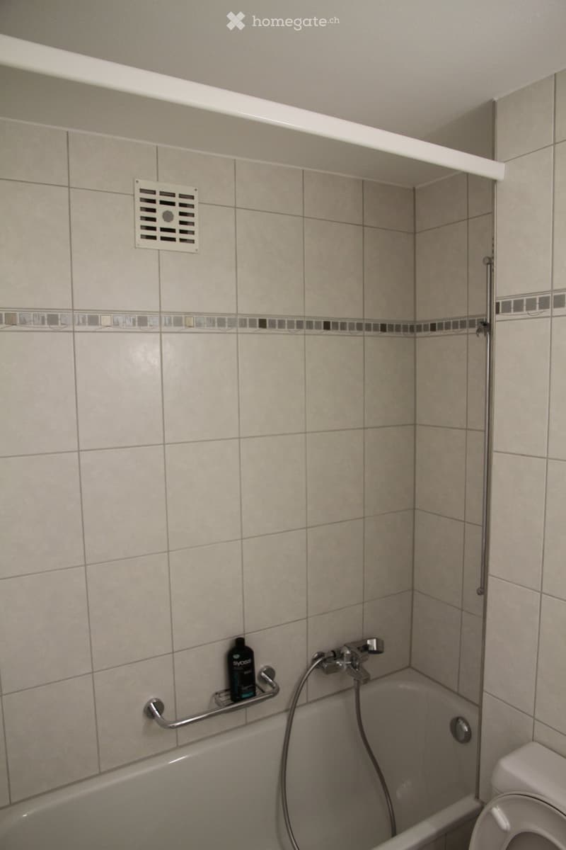 Bathroom with beige tiled walls, bathtub, shower hose, toilet, and a bottle on a handrail shelf.