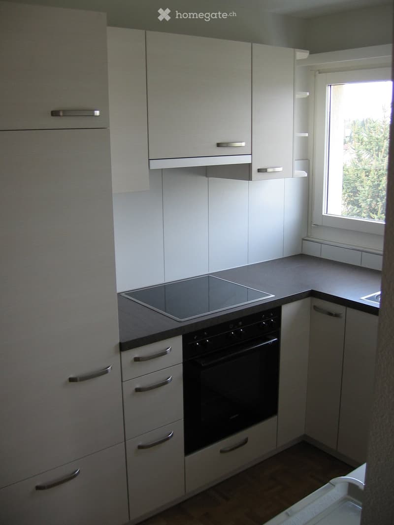 Modern kitchen with white cabinets, stainless steel handles, an induction cooktop, and an oven. The space is well-lit with natural light from a window on the right side.