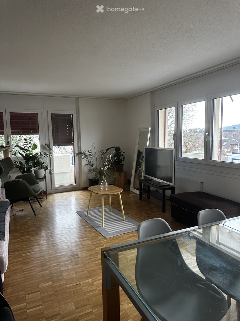 Bright living room with wooden flooring, large windows, a sofa, a glass dining table with chairs, a small round table with a vase, a television, and several potted plants.