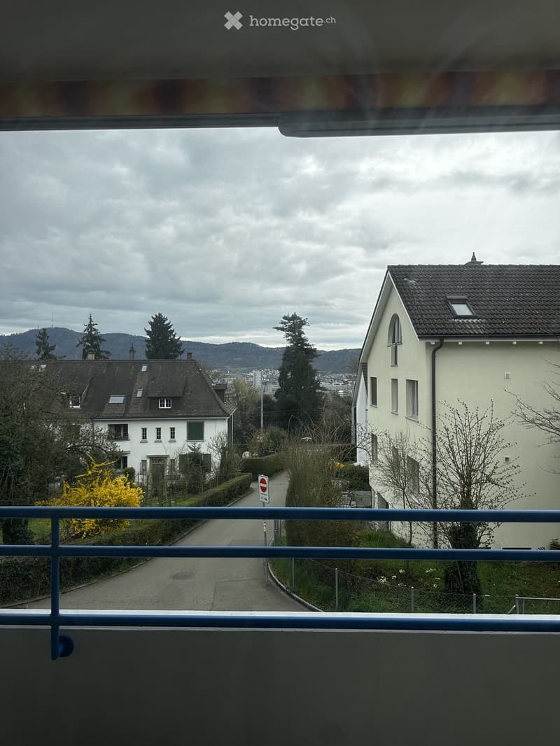 Balcony overlooking a residential street with houses, trees, and a cloudy sky.