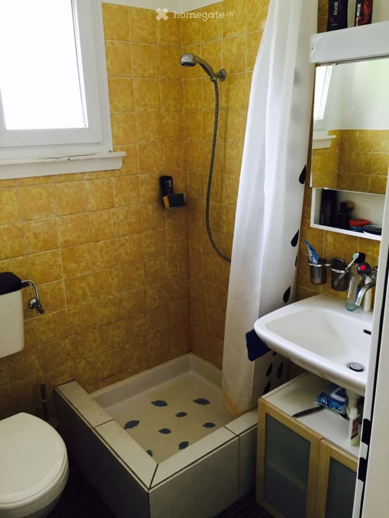 Bathroom with yellow tiles, a shower area, a toilet, a sink with a mirror cabinet, and a window for natural light.
