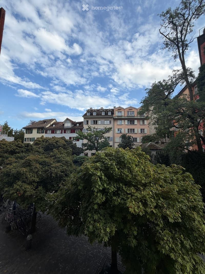 A view of a leafy garden area with several bicycles parked near a tree, surrounded by residential buildings with classic European architecture and shutters.