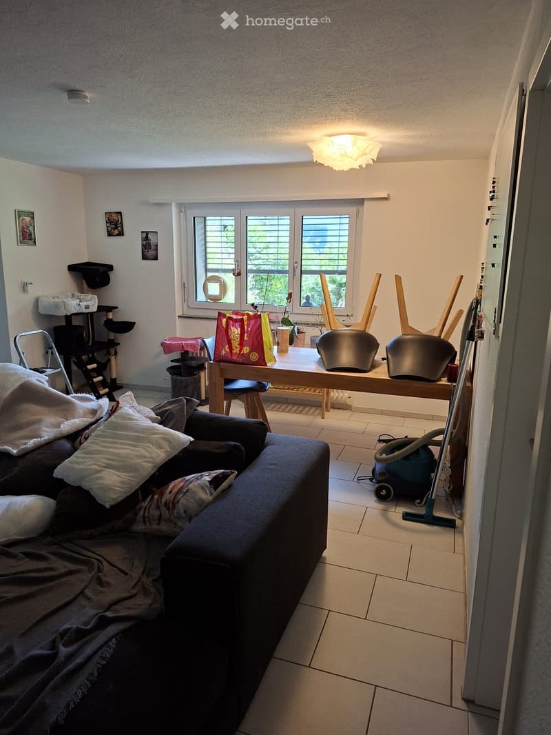 {"type": "Furnished Room", "objects": ["sofa", "table", "chair", "cat tree", "cat litter", "cat food", "cat toys", "cat scratching post", "cat bed", "cat litter box", "cat food bowl", "cat water bowl", "cat scratching pad", "cat scratching post", "cat scr