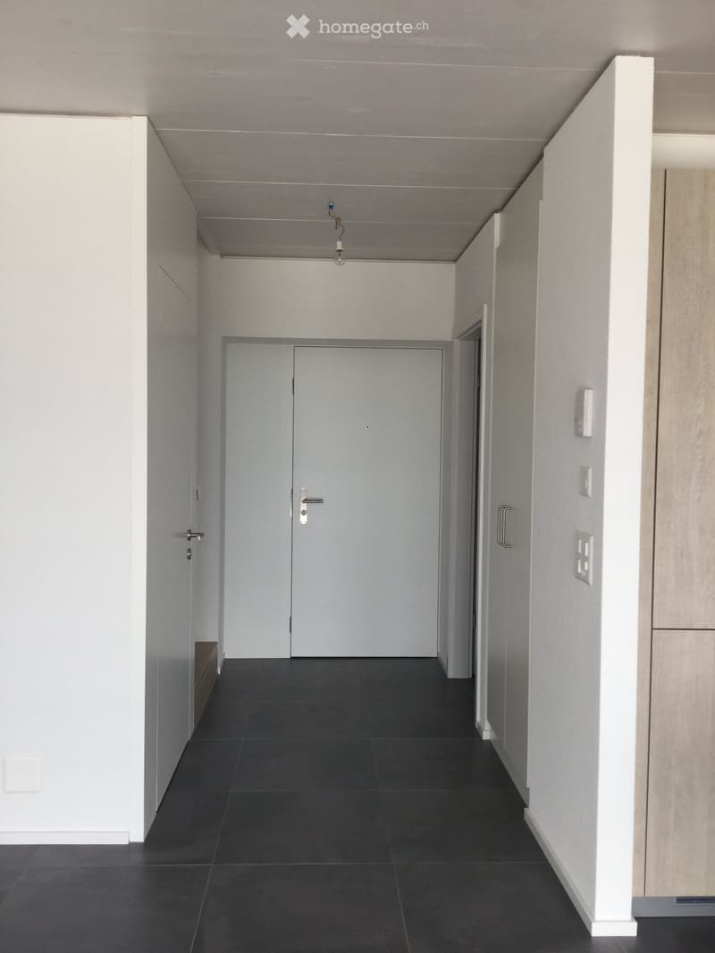 Modern hallway with dark tiled floor, white walls, and a closed door at the end.