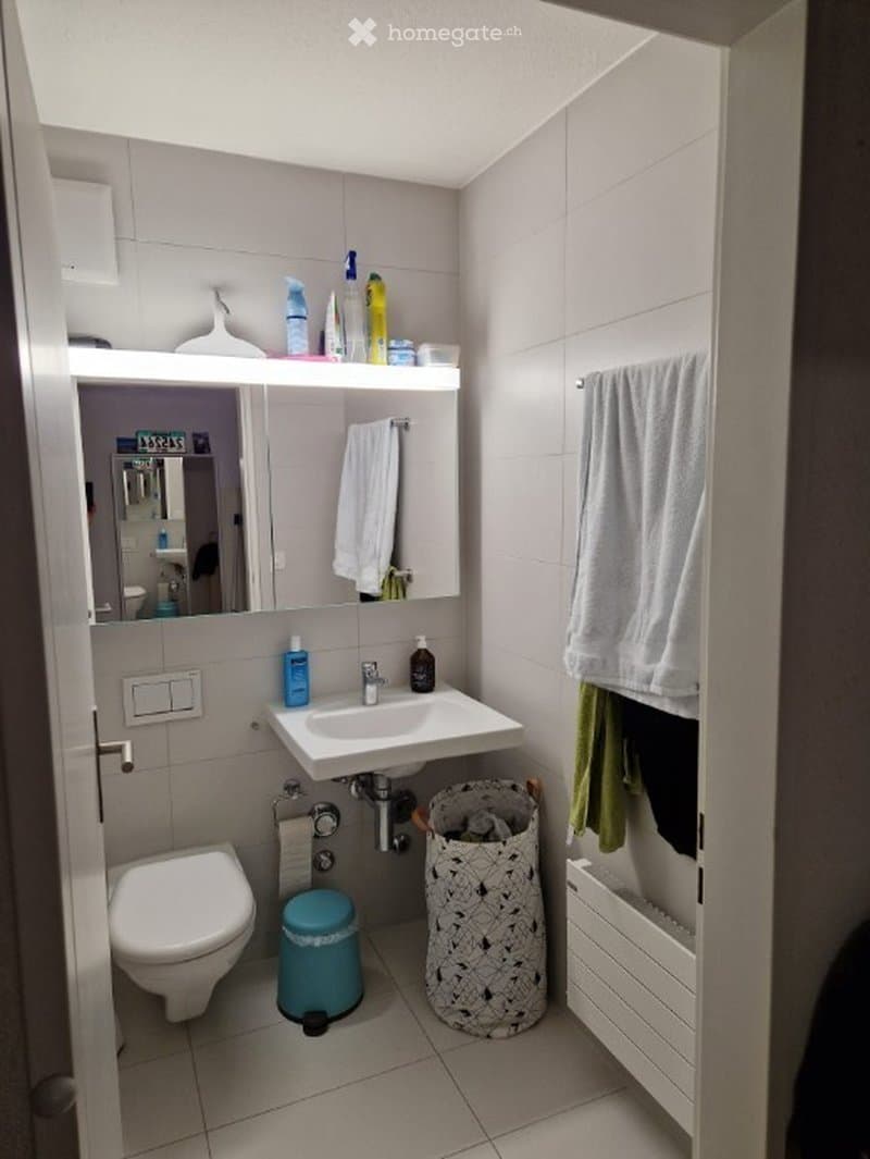 A compact bathroom with a white sink, toilet, mirror, and a small shelf holding toiletries. A towel hangs on a rack, and a patterned trash bin sits on the floor.