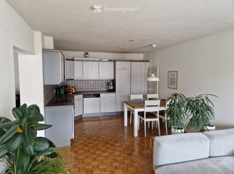 Open-plan living and dining area with a grey sofa, wooden dining table with chairs, modern kitchen with grey cabinets and a dishwasher, and potted plants.