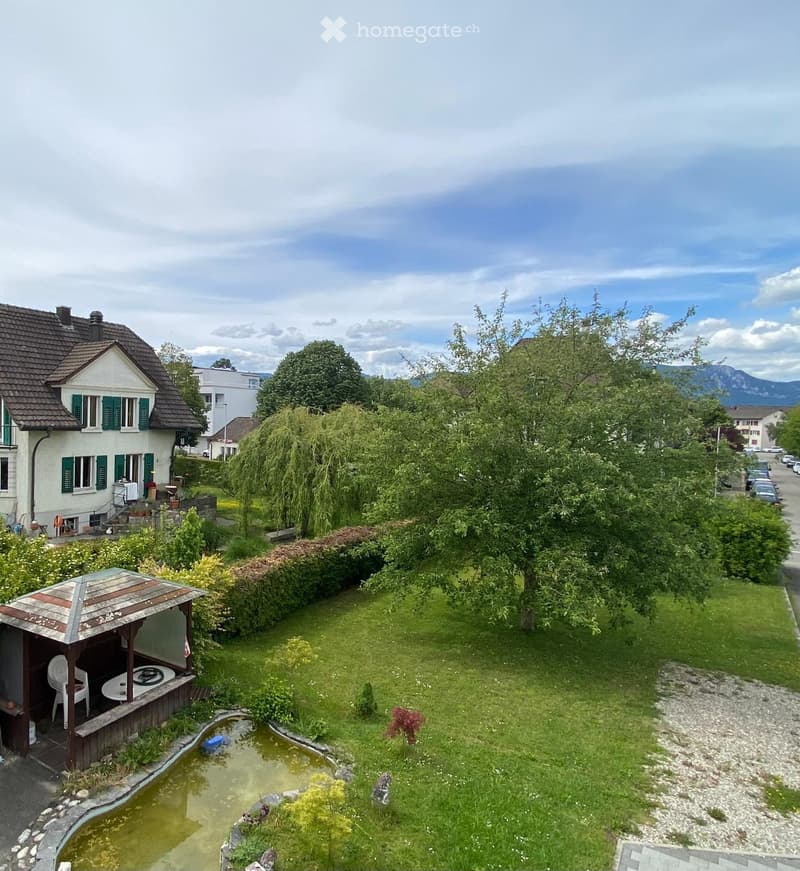 A well-maintained garden with a small pond, a gazebo with a table and chairs, and surrounding greenery, with a house visible in the background.