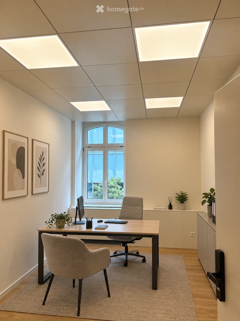 Modern office space with a wooden desk, ergonomic chair, computer setup, potted plants, and framed artwork on the walls.