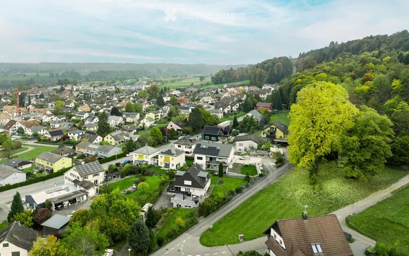 Aerial view of a suburban neighborhood with numerous houses, green lawns, trees, and a winding road.