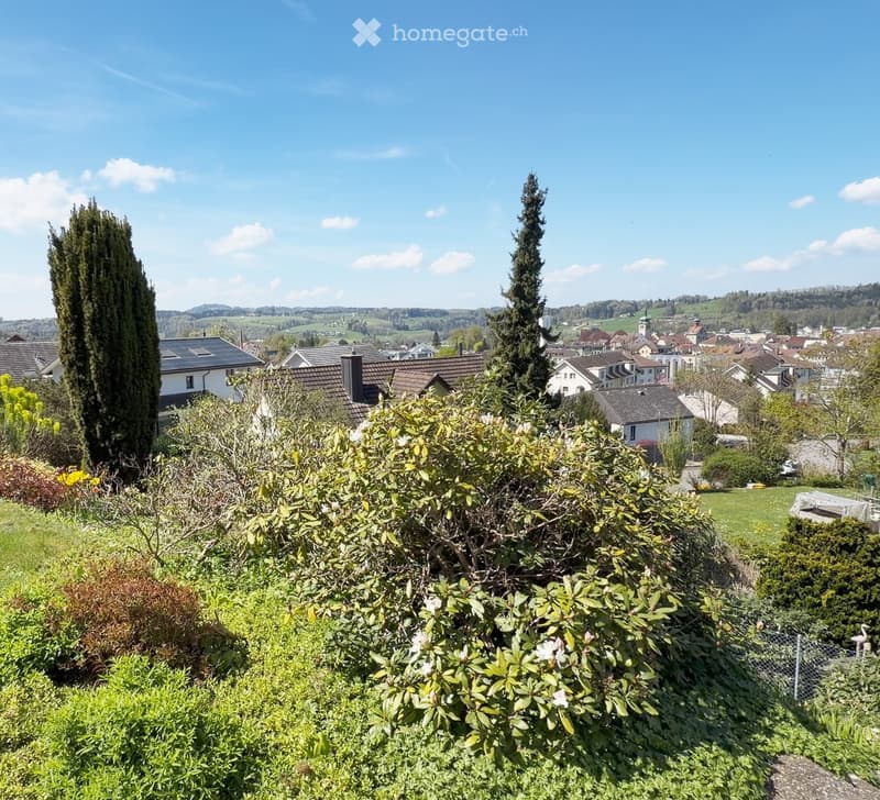 A lush garden with various plants and shrubs, overlooking a town with houses and a church in the distance under a clear blue sky.