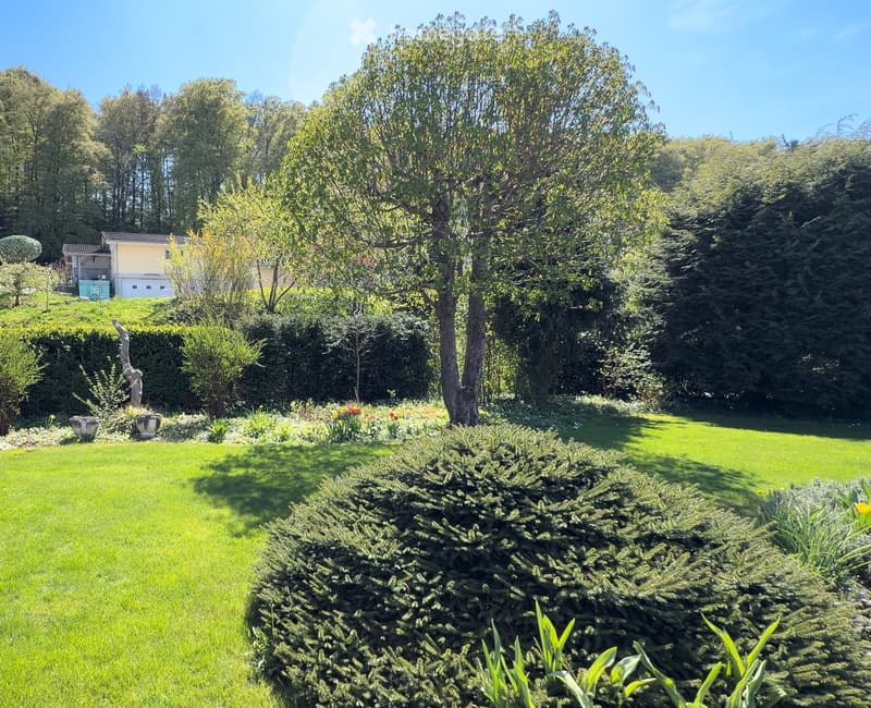 Well-maintained garden with a green lawn, trimmed bushes, flowering plants, and trees, with a house visible in the background.