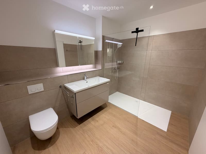 Modern bathroom with a white toilet, sink with a modern faucet, large mirror, and a glass-enclosed shower area.