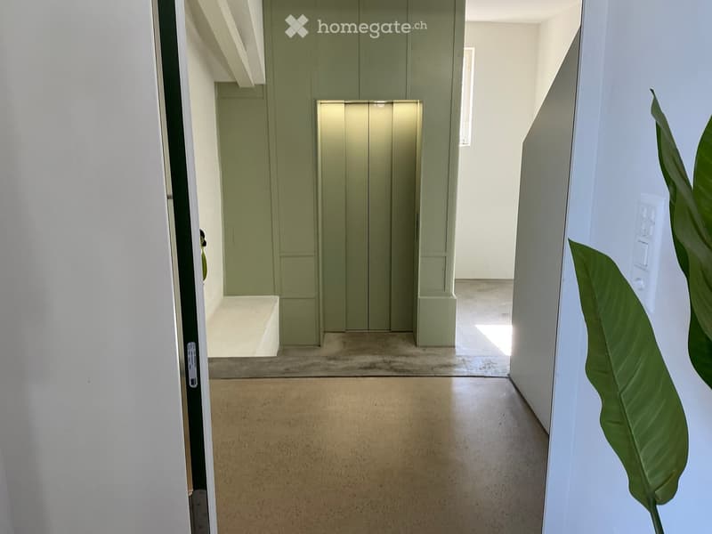 Modern hallway with light green walls, a raised ground floor leading to an elevator, and a large leafy plant on the right side.