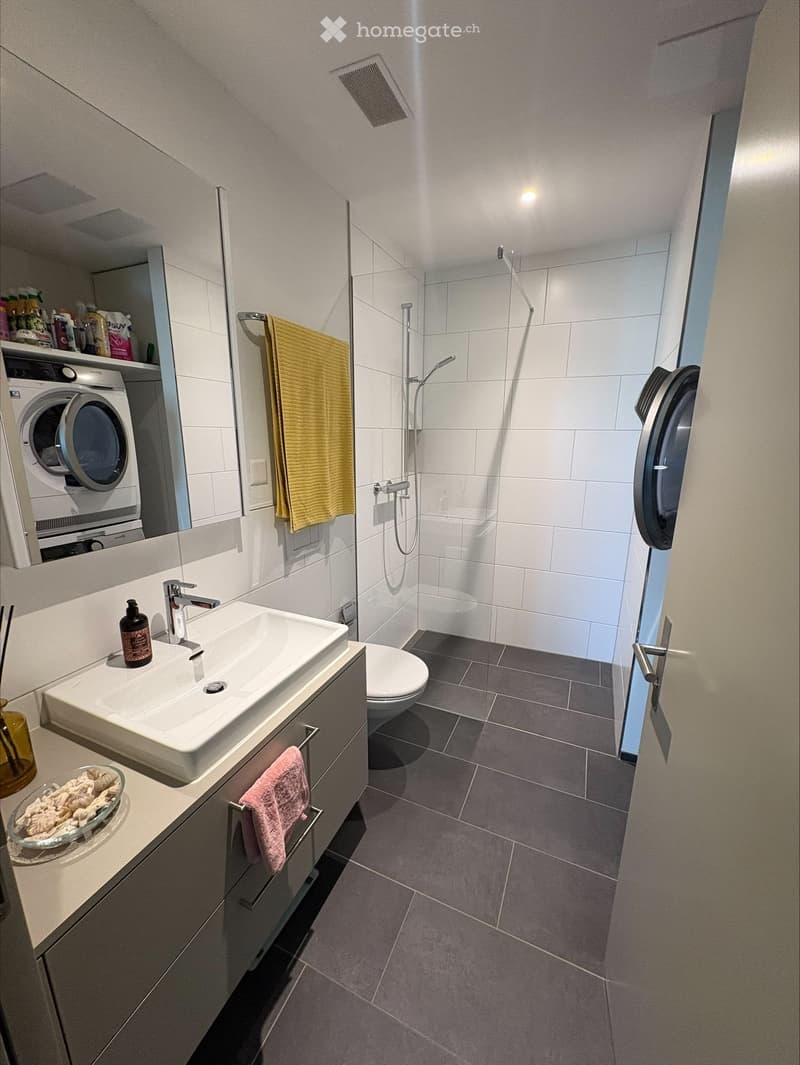 Modern bathroom with a white sink, mirror, toilet, and glass-enclosed shower. Includes a washing machine and dishwasher in the background, along with towels and a bottle on the sink counter.