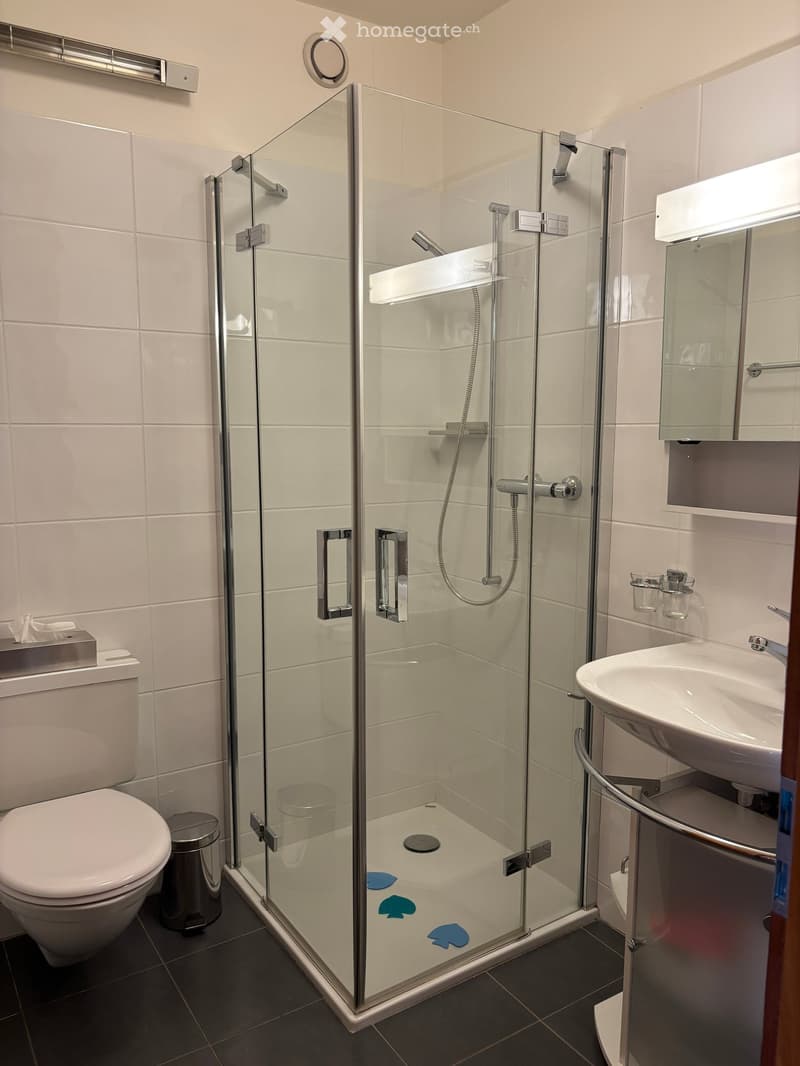 Modern bathroom with white tiles, glass-enclosed shower, toilet, sink, and mirror. Features a sleek design with chrome fixtures and a small trash can.