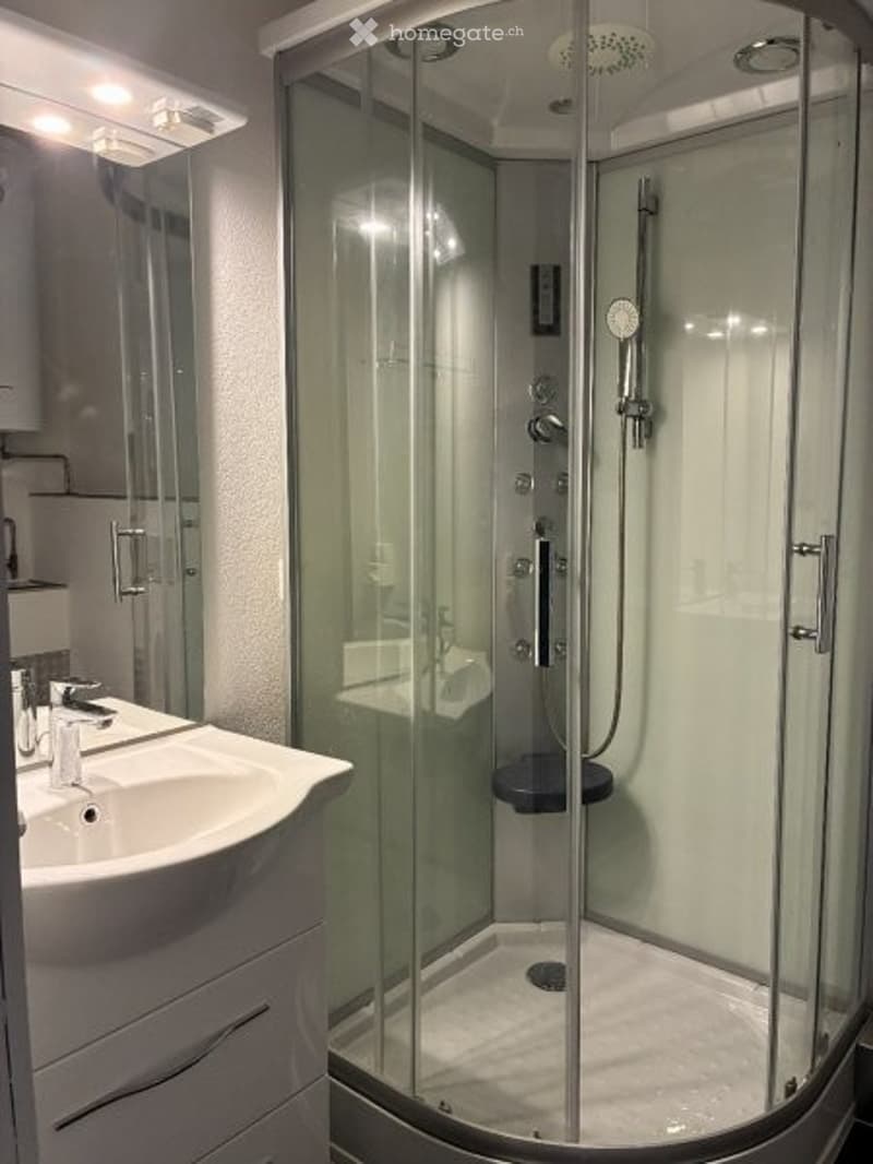Modern bathroom with a glass-enclosed shower stall, a sink with a modern faucet, and a mirror above it.