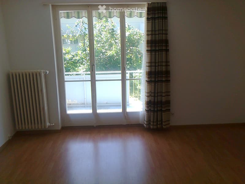 Empty room with wooden flooring, large sliding glass doors leading to a balcony, radiator on the left wall, and striped curtains on the right.