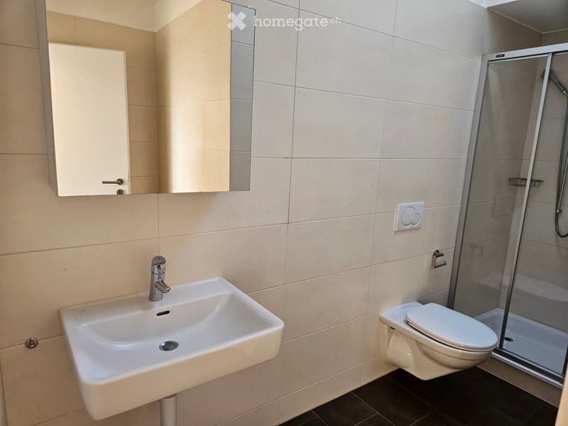 Modern bathroom with a white sink, chrome faucet, toilet, mirrored cabinet, and a glass-enclosed shower area.