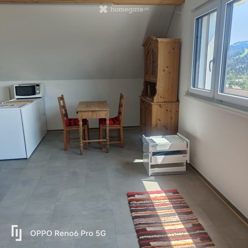 A small, furnished room with a wooden table, two chairs, a refrigerator, microwave, wooden cabinet, and a dishwasher. The room has large windows with a scenic view and a colorful striped rug on the floor.