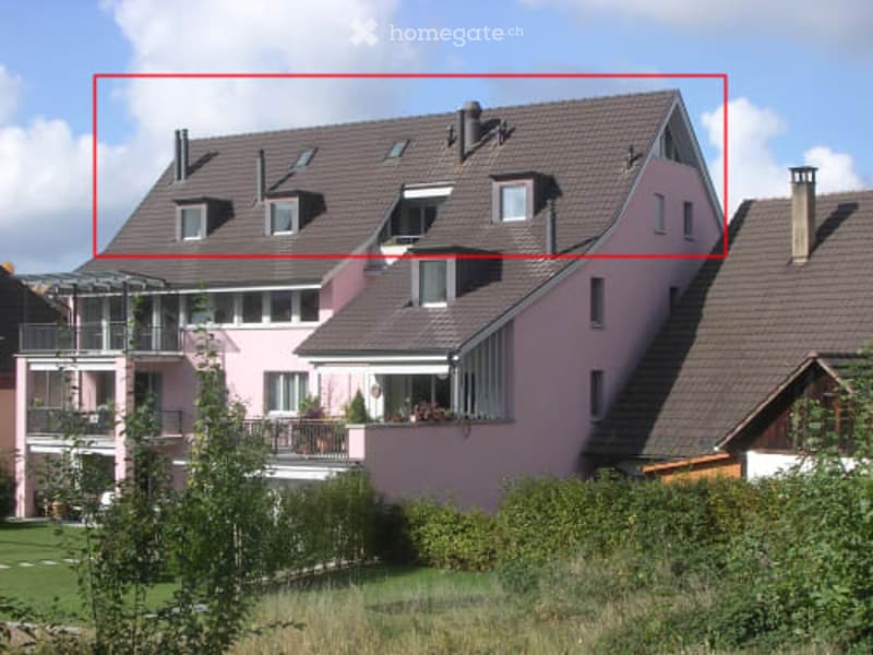 A two-story residential house with a pink facade, multiple windows, and a sloped roof with several skylights. The house features a balcony on the upper floor and is surrounded by greenery.