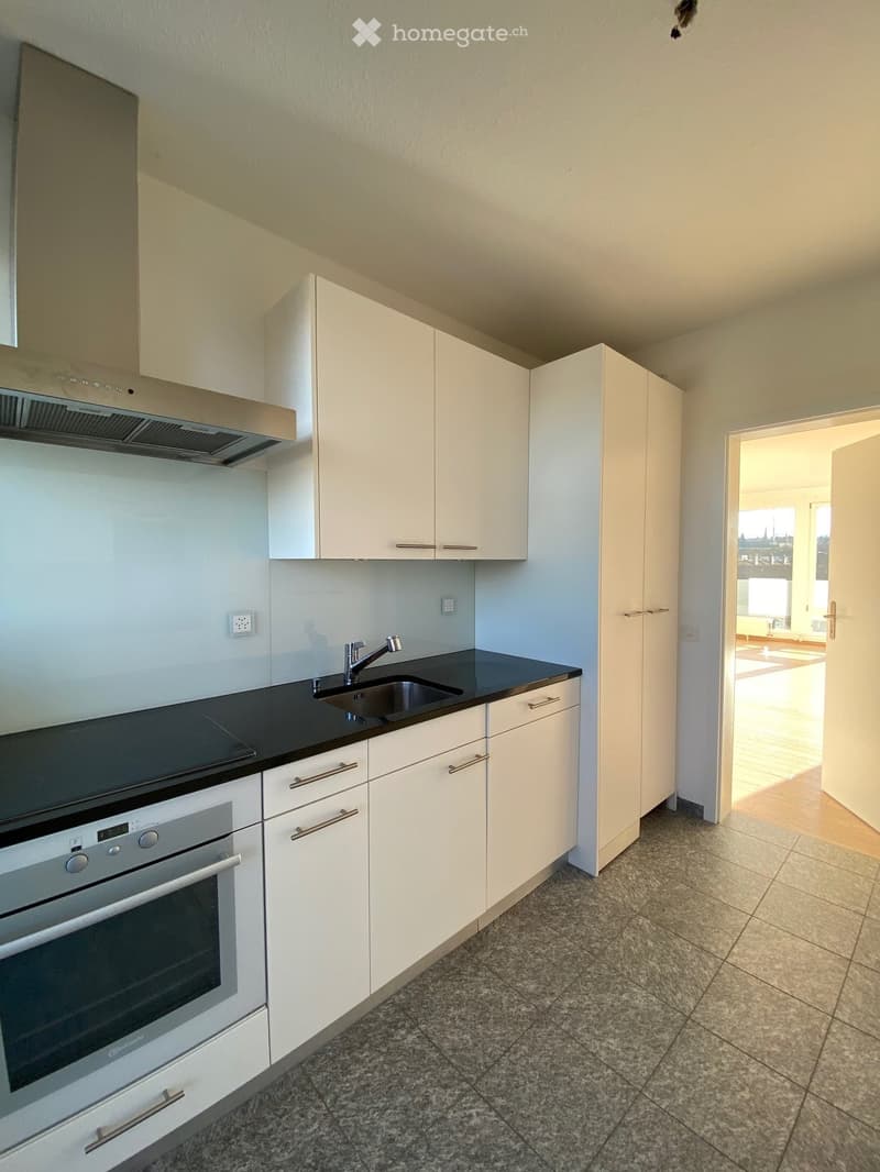 modern white kitchen, dishwasher, private washing machine, built-in oven, extractor hood, granite countertops, stainless steel sink and faucet, white cabinets, power outlet, black tile flooring