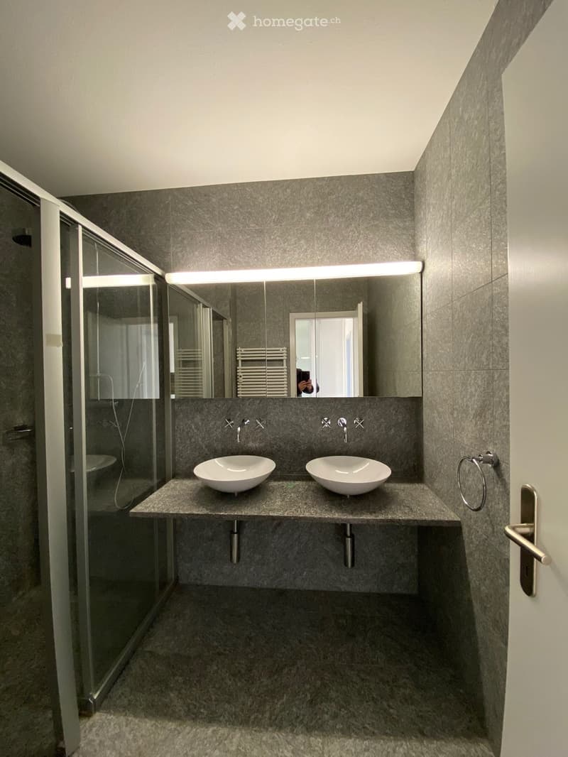 Bathroom: Shower, Two sinks, mirror, grey tiles, no window