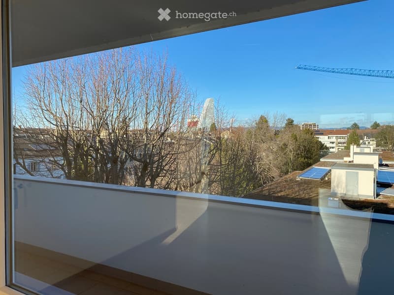 View from the balcony, trees, a city skyline with a crane and a building in the background